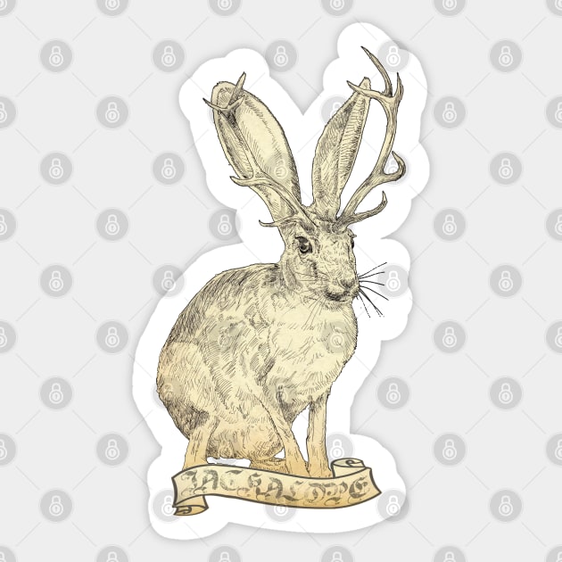 Jackalope Sticker by Hiraeth Tees